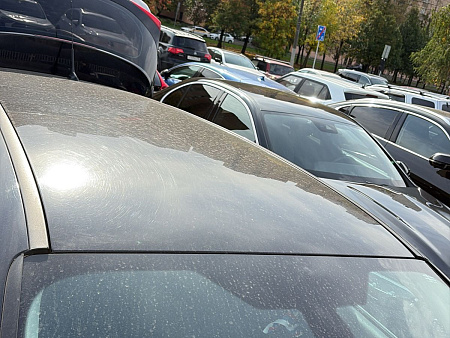 Ford Focus 1.6 PowerShift (125 л.с.) 2016